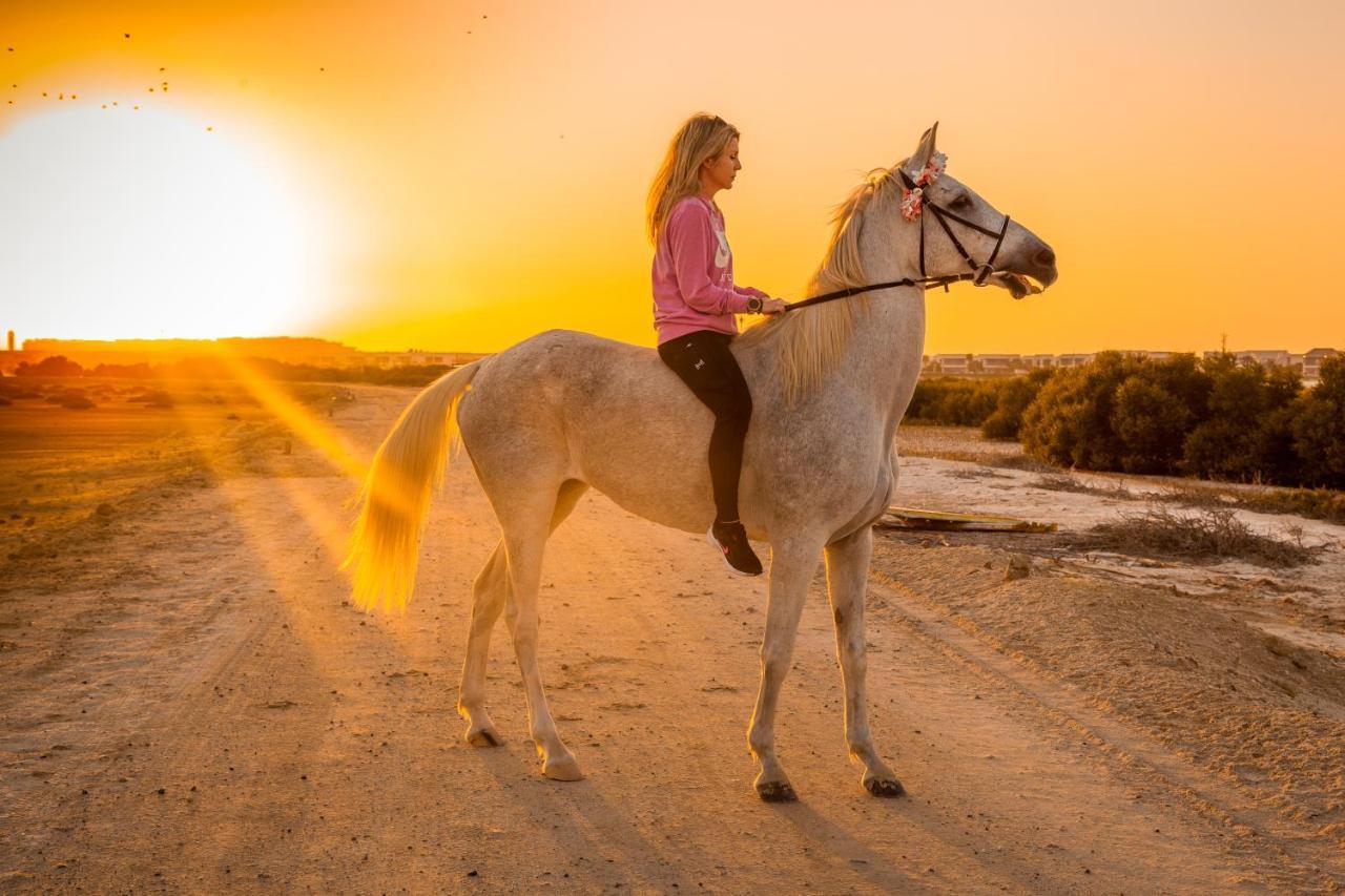 Hotel Pura Eco Retreat, Jubail Island Abú Dhabí Exteriér fotografie